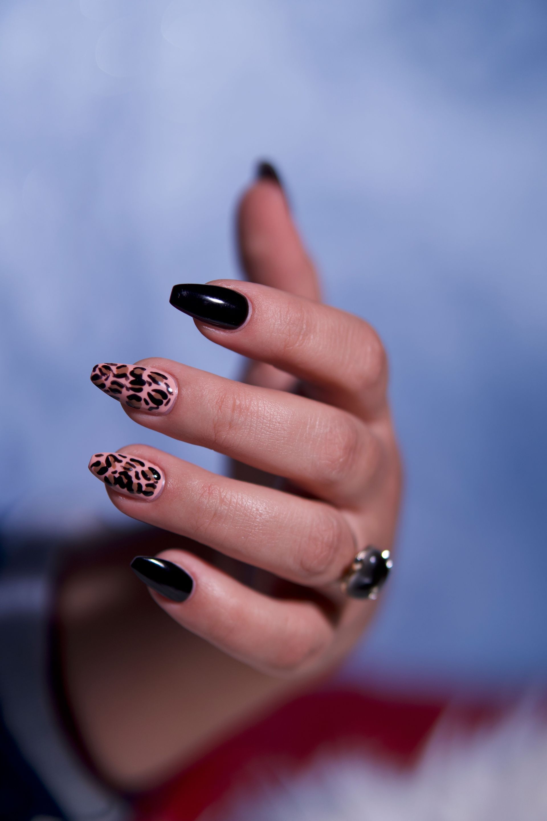 Close-up of a hand showcasing leopard print and black nail art, stylish and trendy.
